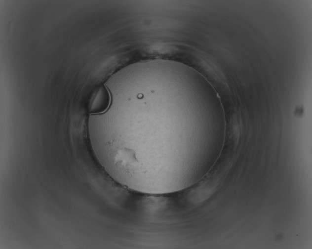 X0000093560328200710221428