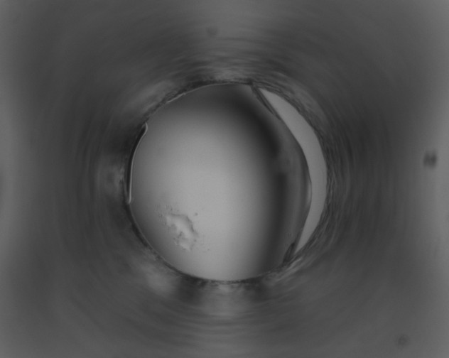 X0000093560329200710221428