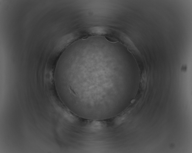 X0000093560330200710221428