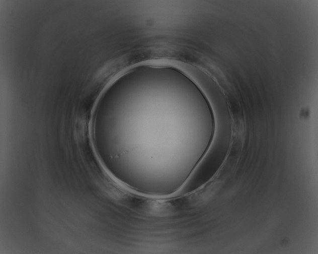 X0000093560333200710221427