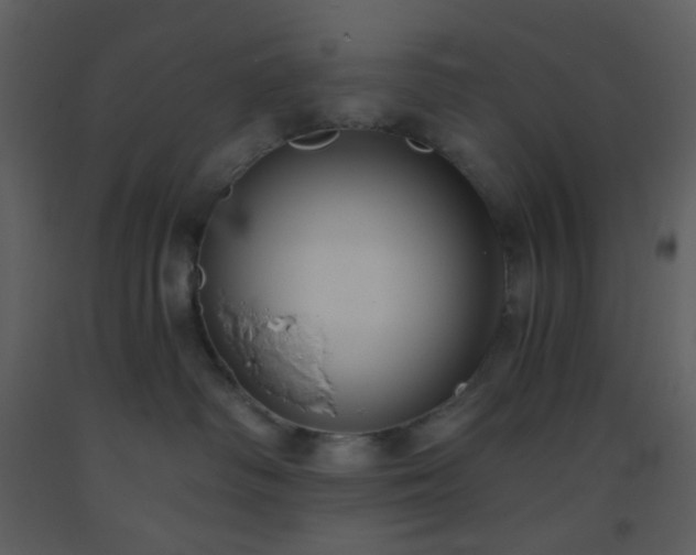 X0000093560334200710221427