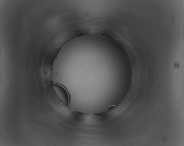 X0000093560336200710221427