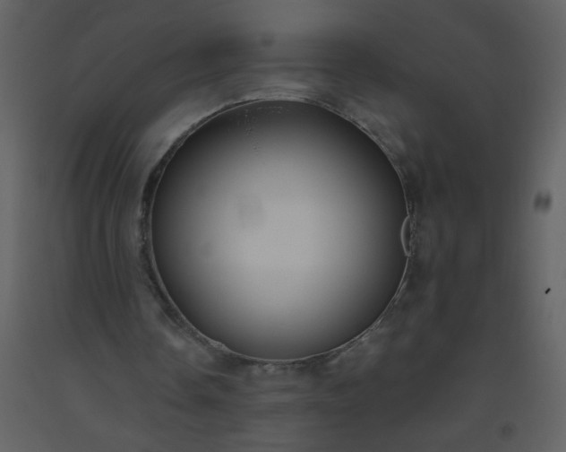 X0000093560338200710221427