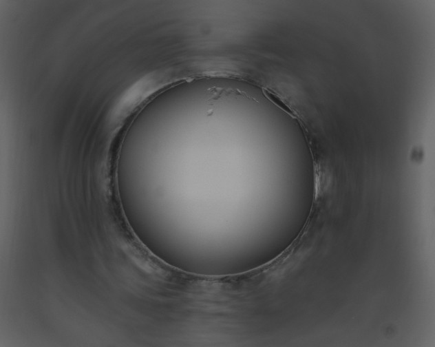 X0000093560339200710221427