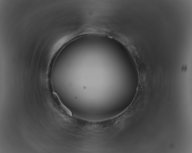 X0000093560340200710221427