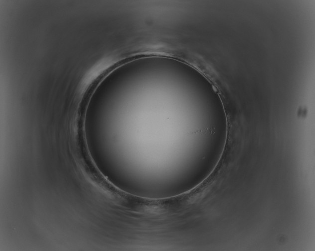 X0000093560344200710221427