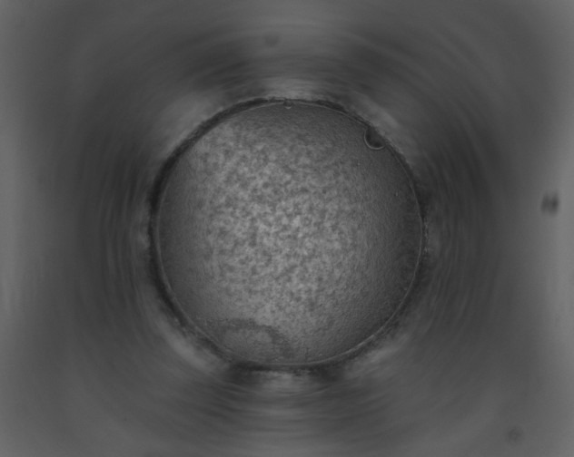 X0000093560347200710221427