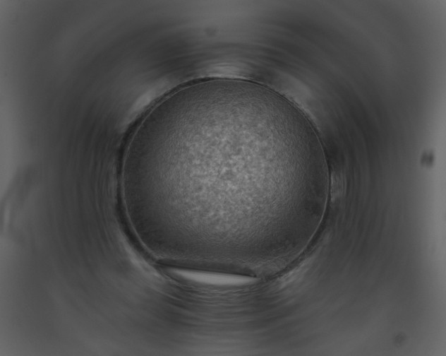 X0000093560349200710221427