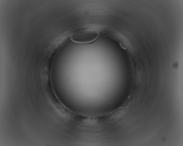 X0000093560354200710221427