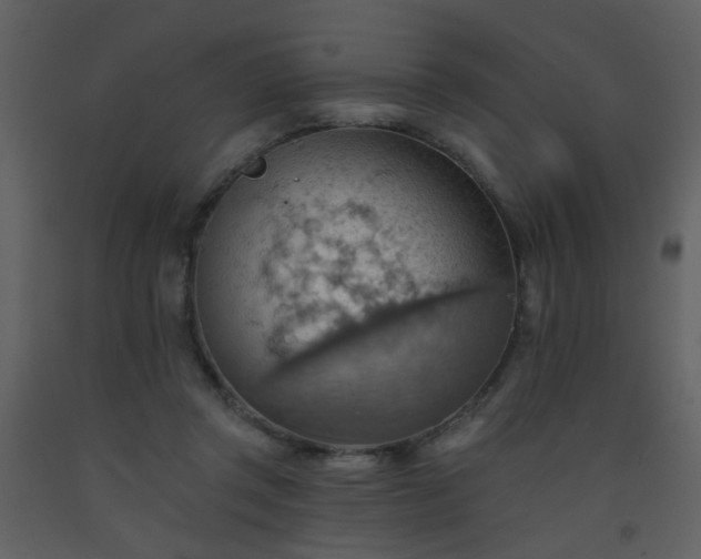 X0000093560357200710221427