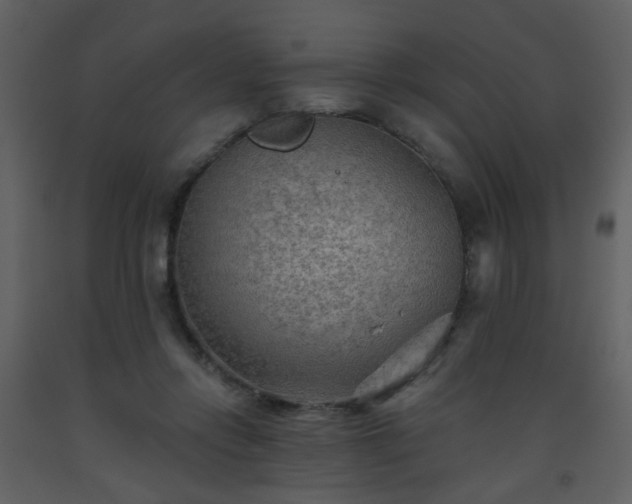 X0000093560358200710221427
