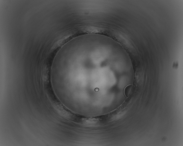 X0000093560359200710221427