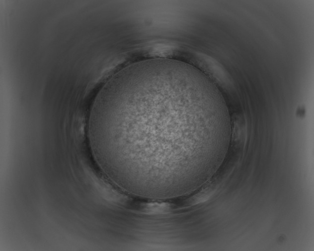 X0000093560363200710221427