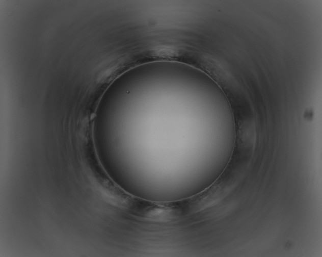 X0000093560364200710221427