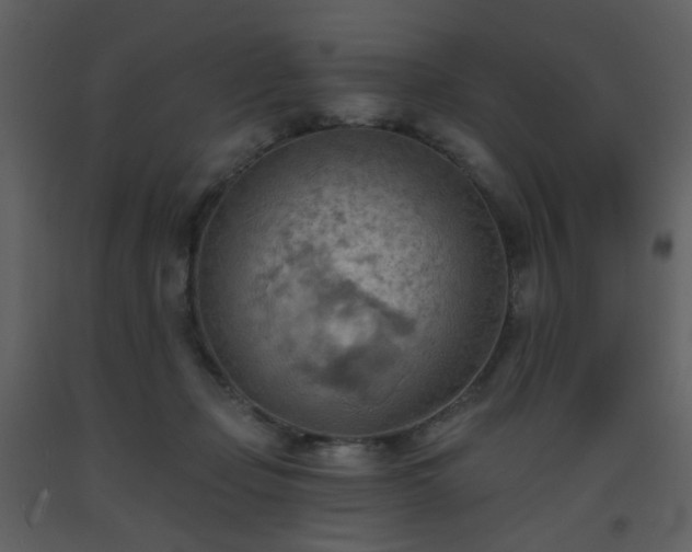 X0000093560365200710221427