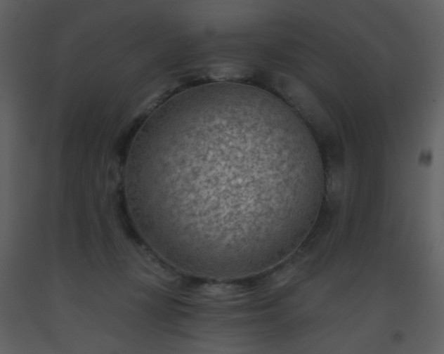 X0000093560367200710221427