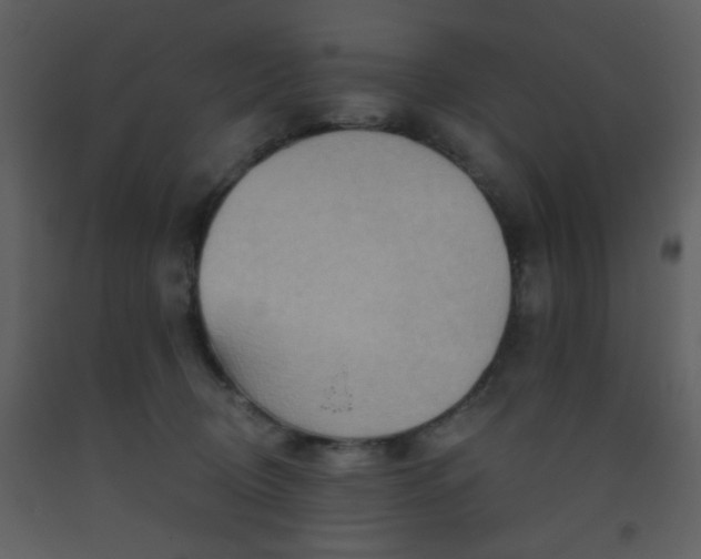 X0000093560370200710221427