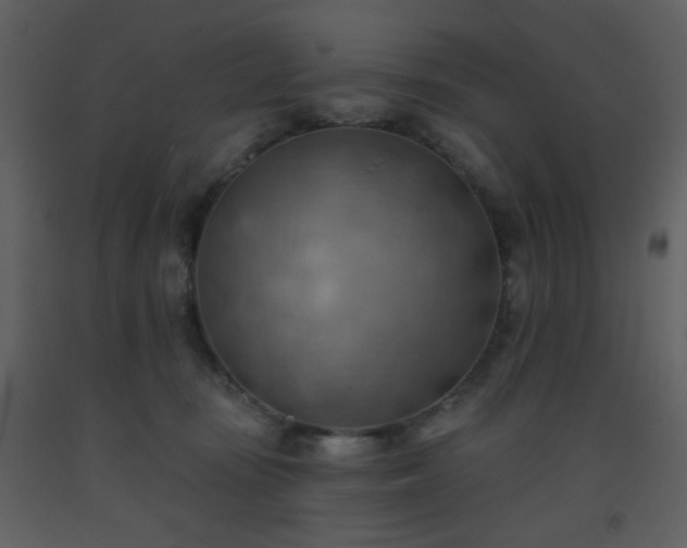 X0000093560371200710221427