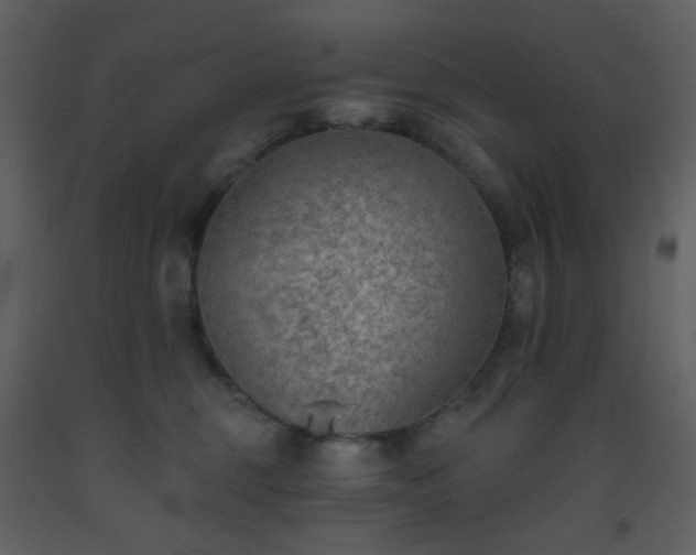 X0000093560375200710221427