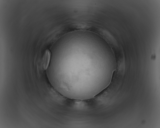 X0000093560376200710221427