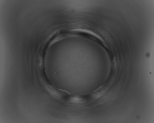 X0000093560380200710221427