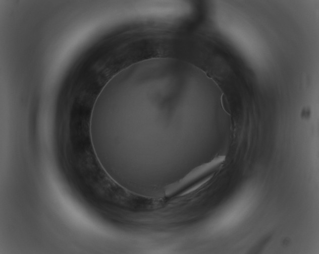 X0000093560383200710221427
