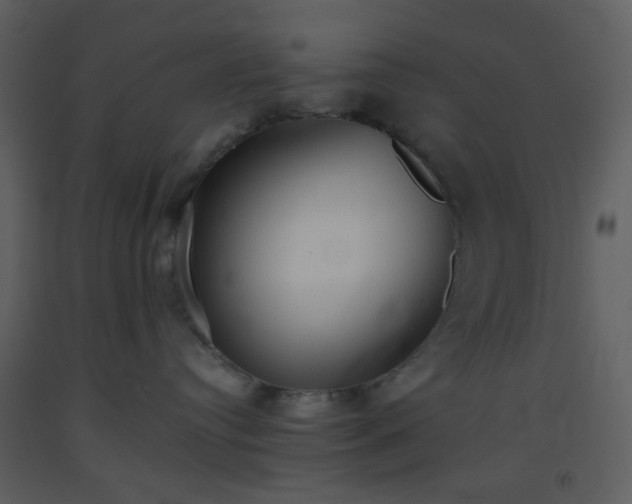 X0000093560384200710221427