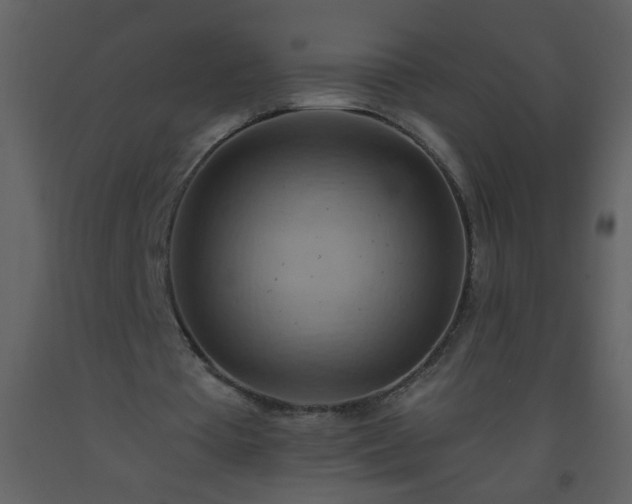 X0000093560385200710221427