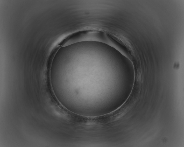 X0000093560388200710221427