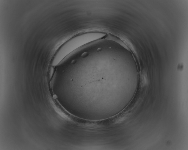 X0000093560389200710221427