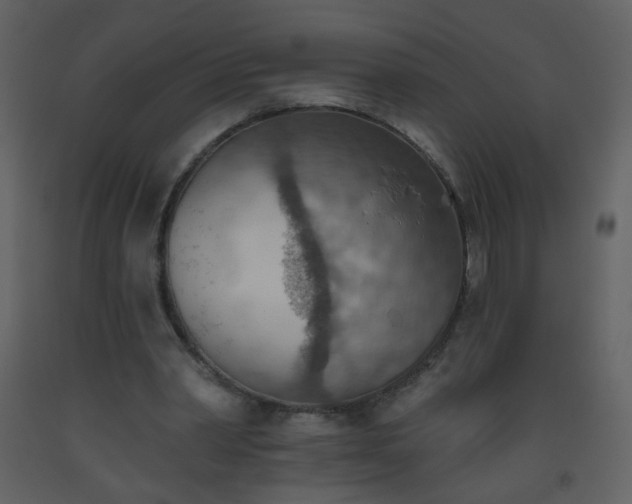 X0000093560390200710221427