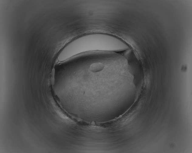 X0000093560393200710221427