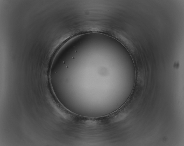 X0000093560394200710221427