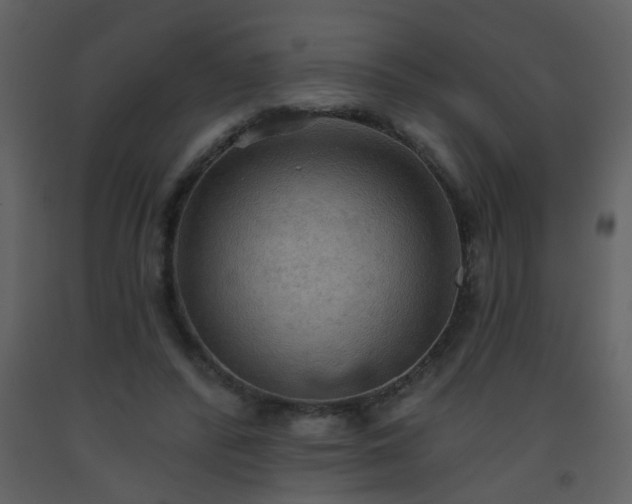 X0000093560400200710221427