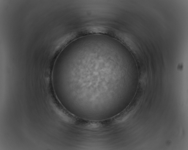 X0000093560402200710221427
