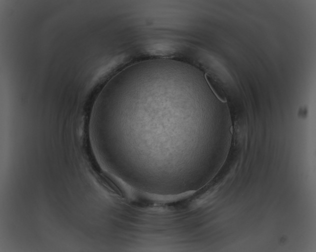 X0000093560404200710221427