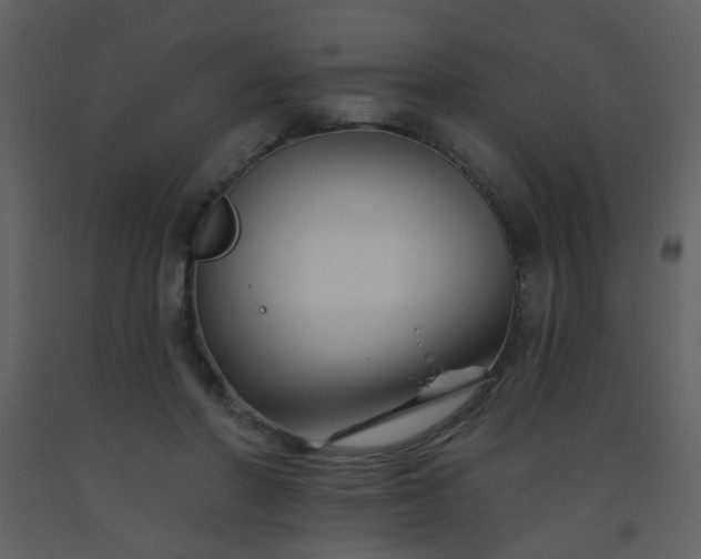 X0000093560406200710221427