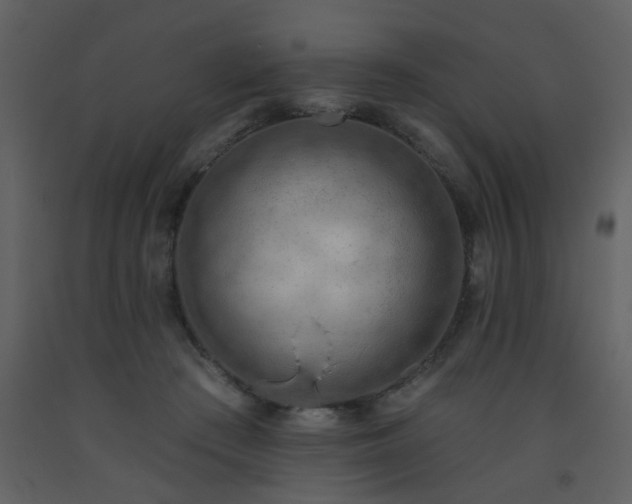 X0000093560409200710221427