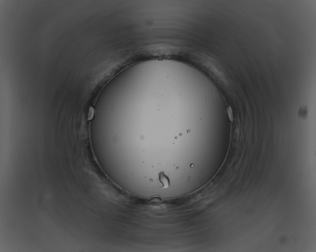 X0000093560411200710221427
