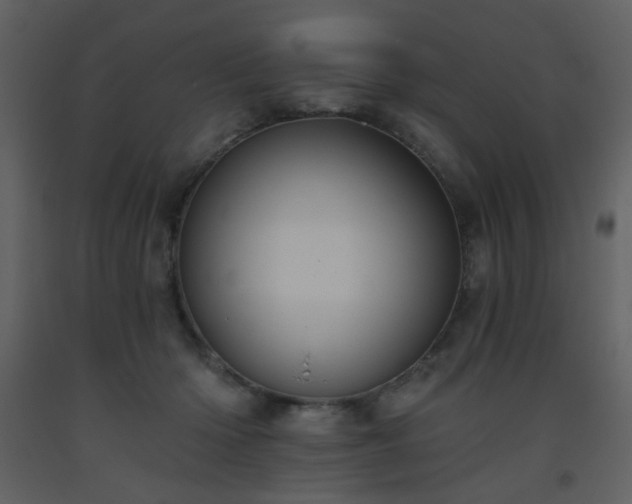 X0000093560414200710221426