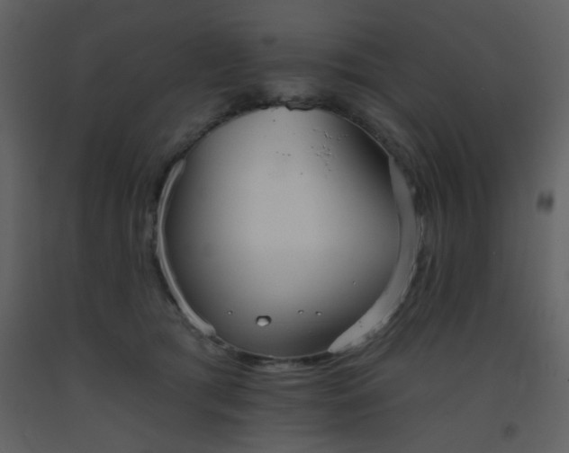 X0000093560417200710221426