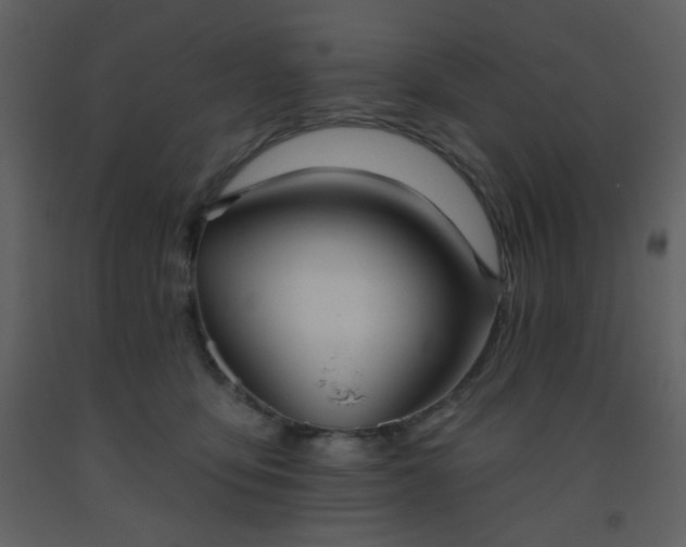 X0000093560419200710221426