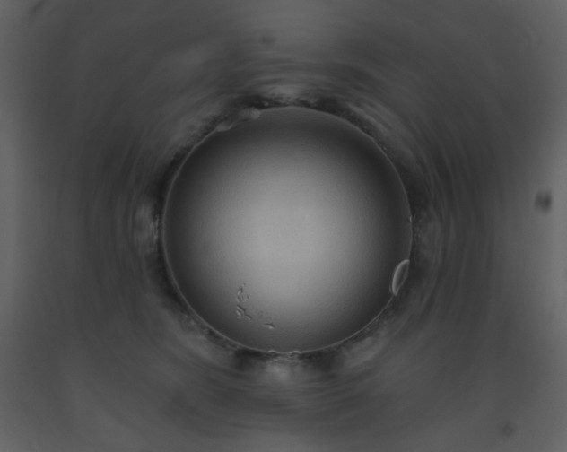 X0000093560420200710221426