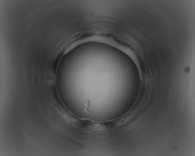 X0000093560421200710221426