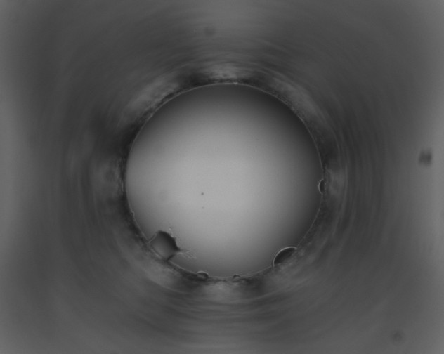 X0000093560422200710221426