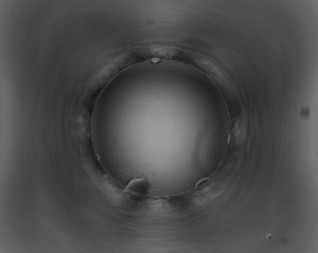 X0000093560424200710221426