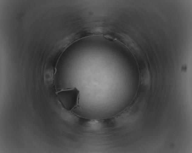 X0000093560425200710221426