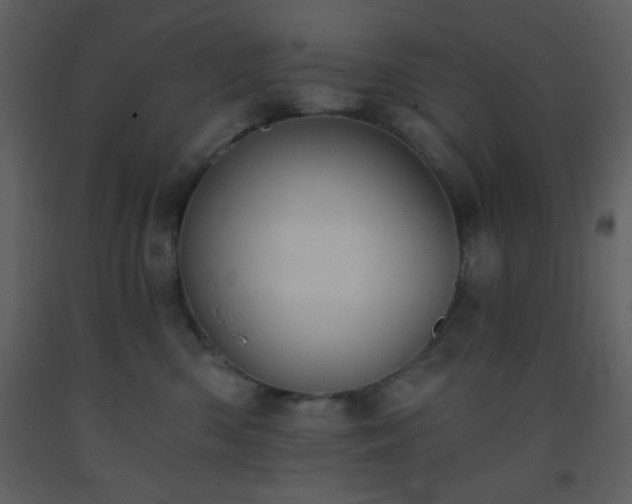 X0000093560426200710221426