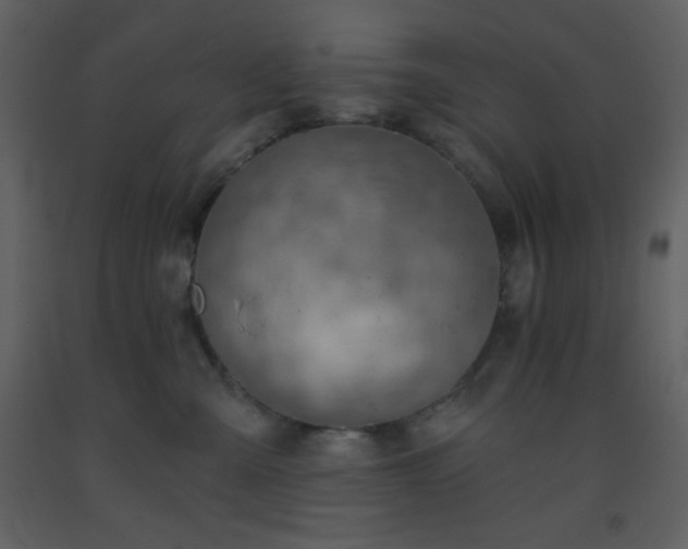 X0000093560427200710221426