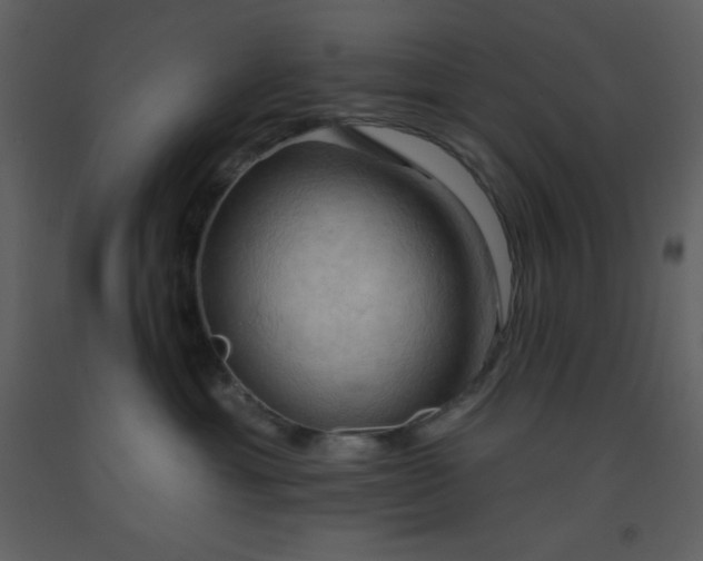 X0000093560429200710221426